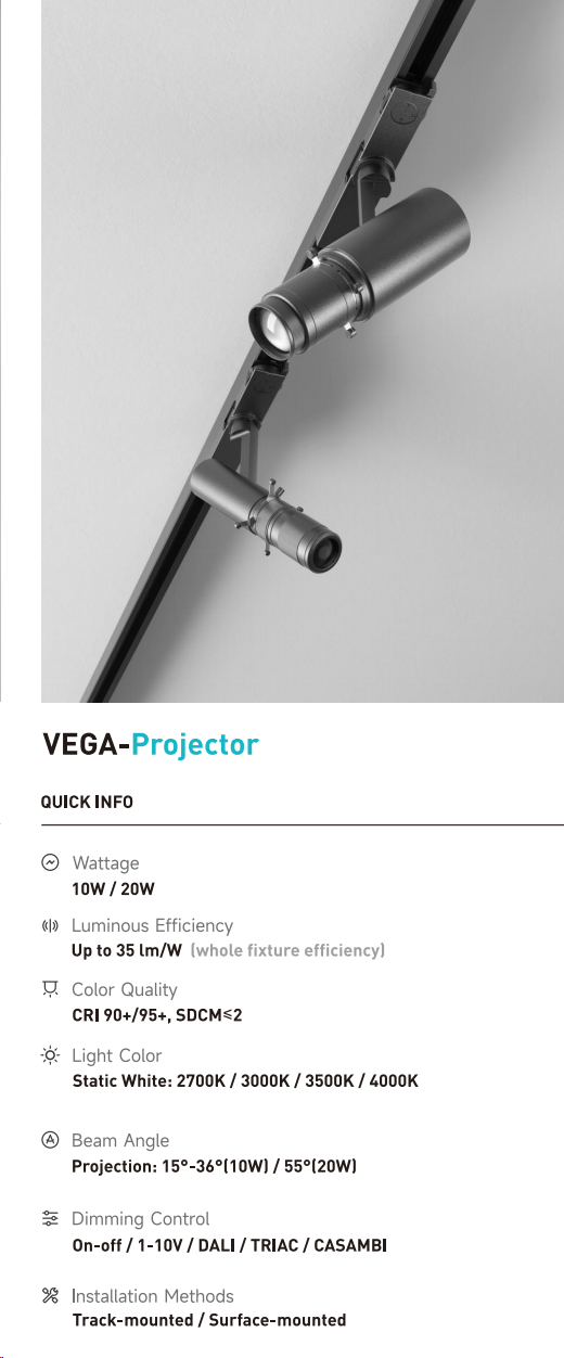 VEGA-Projector